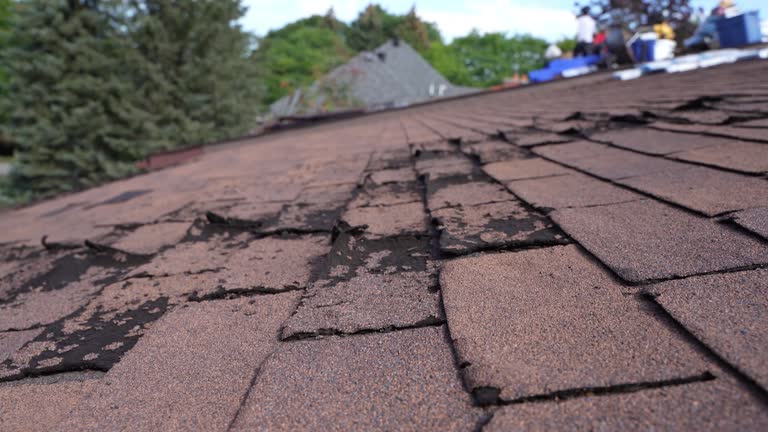 Best Asphalt Shingles Roofing  in La Paloma, TX