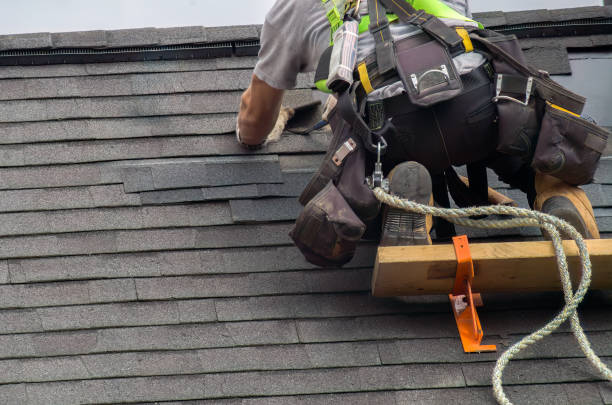 Best Commercial Roofing Services  in La Paloma, TX