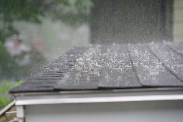 Best Roof Moss and Algae Removal  in La Paloma, TX