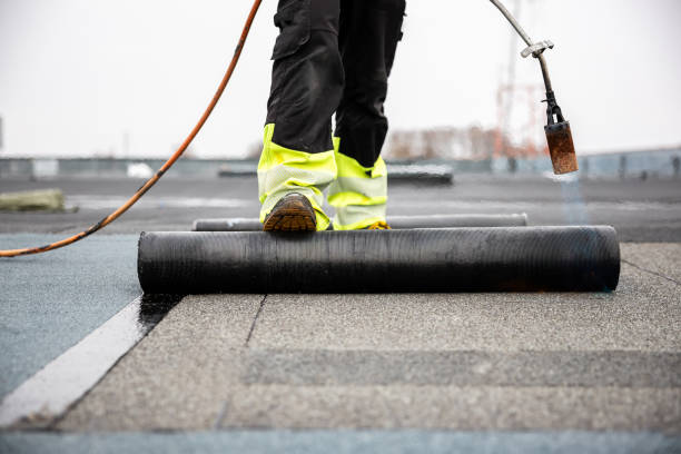 Best Gutter Installation and Repair  in La Paloma, TX